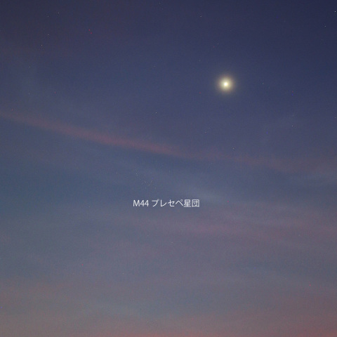 金星とプレセペ星団