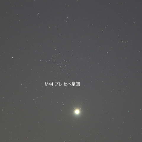 金星とプレセペ星団