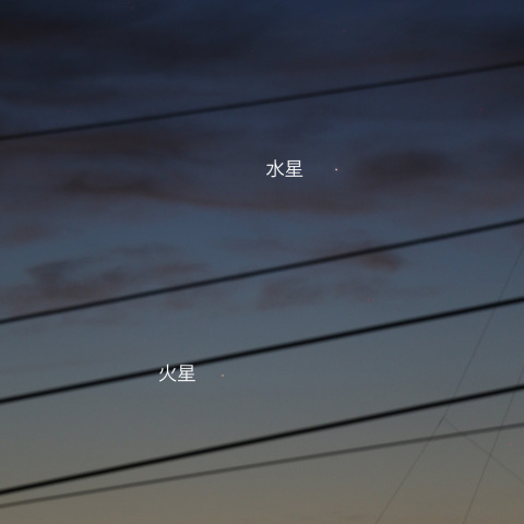 暁のレグルス・水星・火星の接近