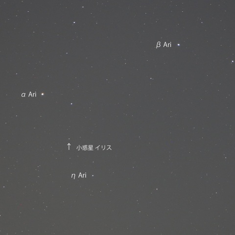 牡羊座の小惑星イリス