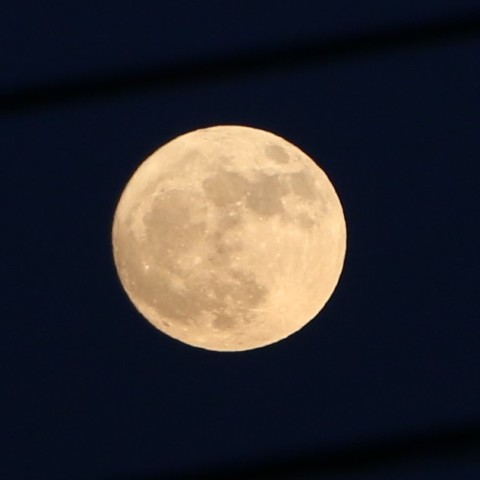 12月3日月出すぐの満月