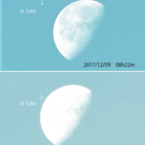 白昼のレグルス食