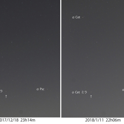 ο Cet ミラの増光