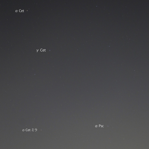 極大光度期のο Cet ミラ