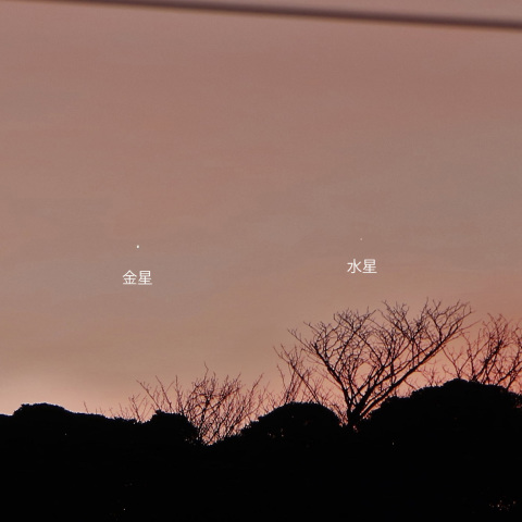 金星と水星の接近