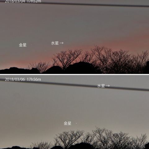 金星・水星の接近と動き