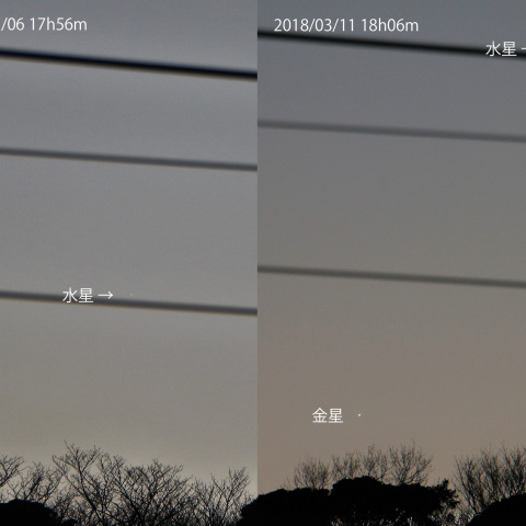 金星・水星の動き