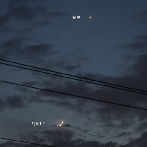 月と金星