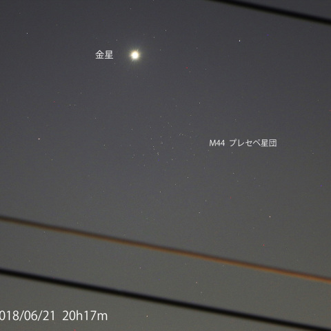 金星とプレセペ星団