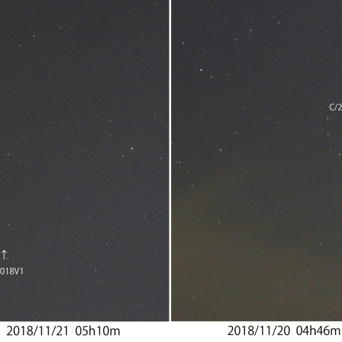 マックホルツ・藤川・岩本彗星、1日の動き