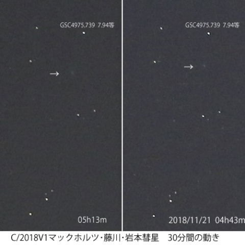 マックホルツ・藤川・岩本彗星、30分間の動き