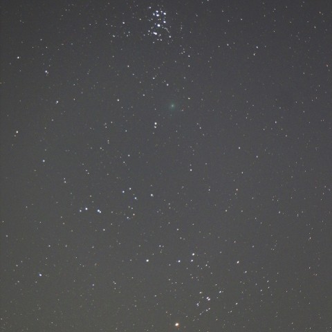 すばるに接近・ウィルタネン彗星