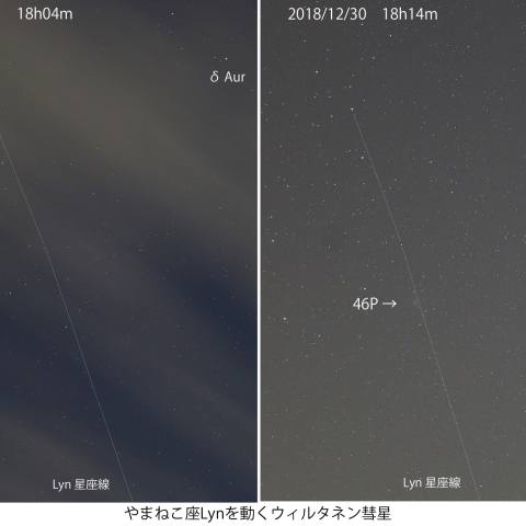 やまねこ座を動くウィルタネン彗星