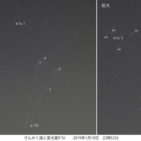 さんかく座の変光星R Tri の状況