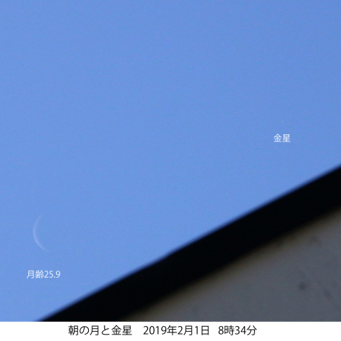 朝8時過ぎの月と金星