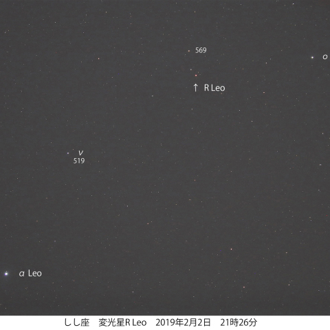 極大期の変光星R Leo
