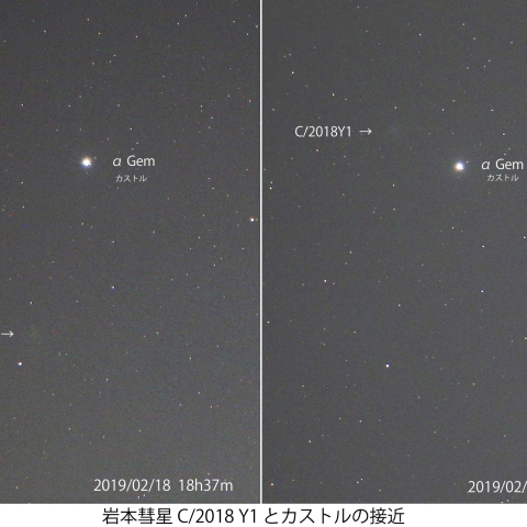 岩本彗星とカストルの接近