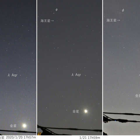 海王星に近づく金星　2020/01/20～22