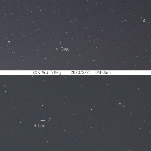 変光星 χCyg・RLeo　2020/2/21・23