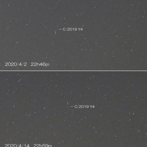 C/2019 Y4　アトラス彗星　2020/4/2・4/14