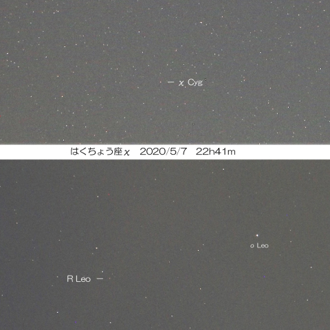 減光途中の変光星 χ Cyg・R Leo　2020/5/7