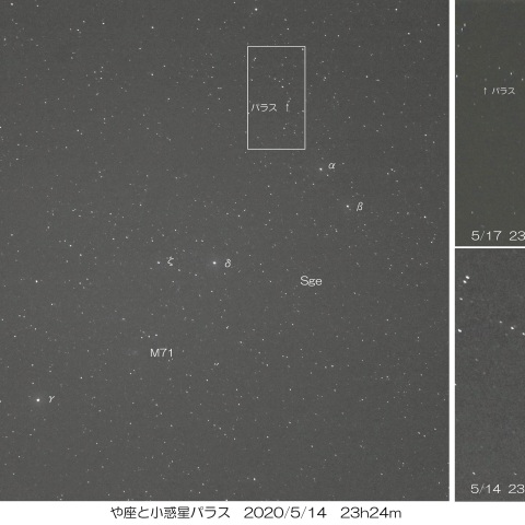 や座と小惑星パラスの動き　2020/5/14・17
