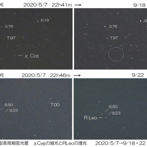 変光星χCygの減光とRLeoの増光　2020/5/7～9/18・22
