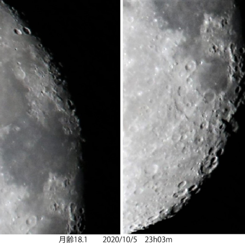 月齢18.1　2020/10/5
