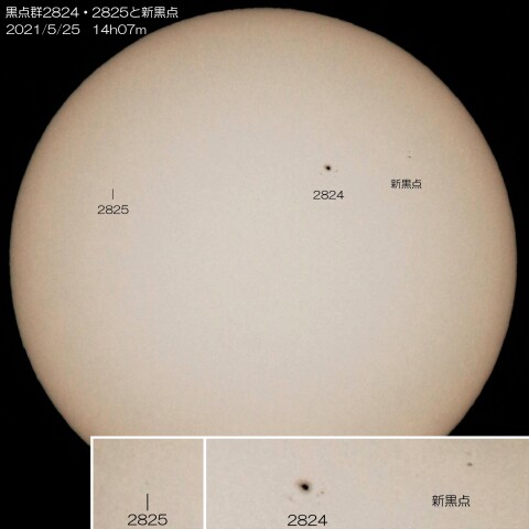 黒点群2824・2825と新黒点　2021/5/25