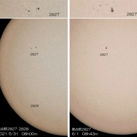 黒点群2827・2828　2021/5/31・6/1