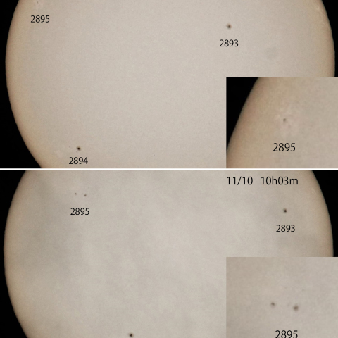 3つの黒点群  2021/11/8･10