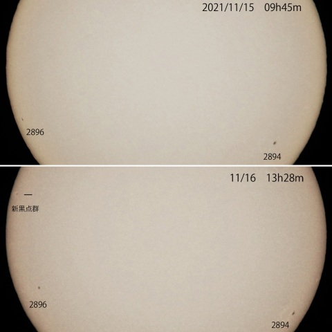 黒点群2894･2896･新黒点群　2021/11/15･16