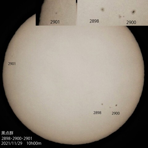 黒点群2898･2900･2901　2021/11/29
