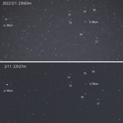変光星 U Monの減光 2022/2/1・11