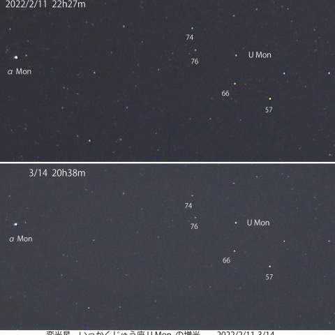 変光星 いっかくじゅう座 U Mon の増光　2022/2/11～3/14