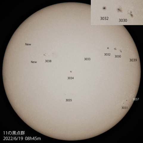 11の黒点群　2022/6/19