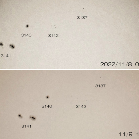 11/8･9　太陽北半球の黒点群