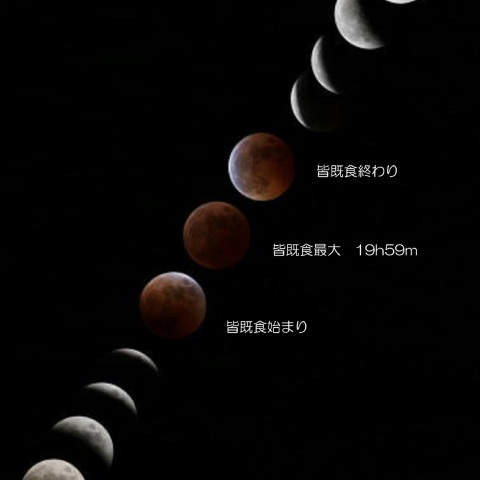 11/8 昇る皆既月食の月