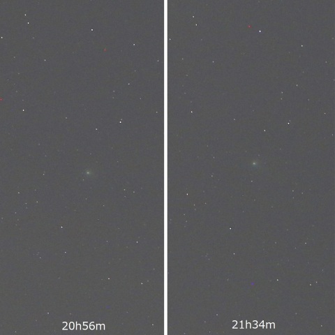 2023/2/1 ZTF彗星 1時間23分間の動き