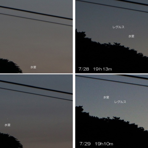 2023/7/26～29　レグルスと水星の接近
