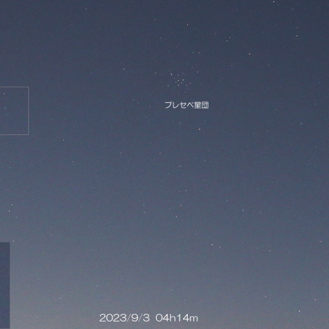 2023/9/3 C/2023 P1西村彗星とプレセペ星団・金星