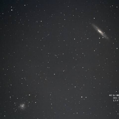 Scl NGC253 NGC288