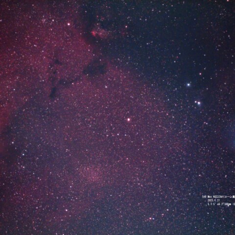 Mon NGC2264(コーン星雲) IC2169(かたつむり星雲)