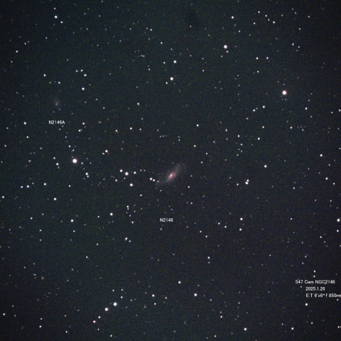 Cam NGC2146