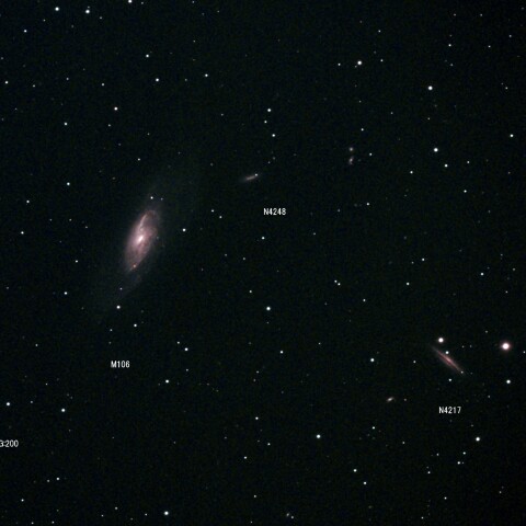 CVn M106 NGC4217