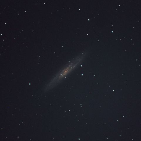 ＮＧＣ253