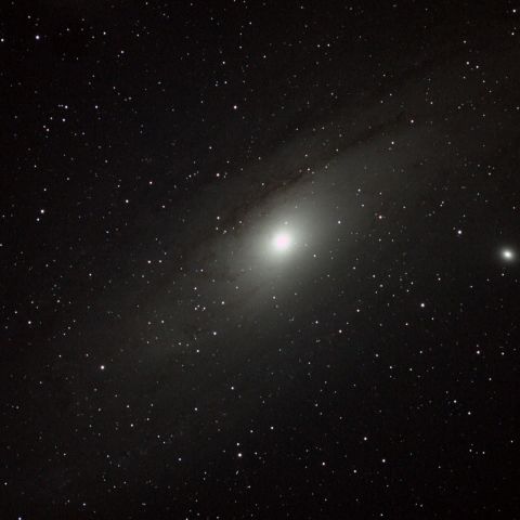 M31