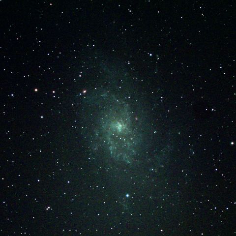 M33