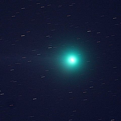 1.13ラブジョイ彗星