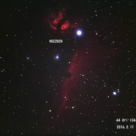 IC434（馬頭星雲）